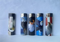 Briquet en plastique à bas prix en gros, 5 couleurs, avec motifs design