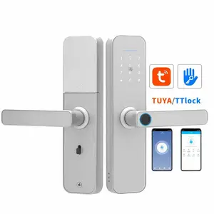 Inteligente Exterior Door Handle Lock Fingerprint Mobile Phones Access Smart Biometric Door Locks