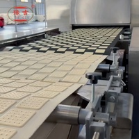 Machine à fabriquer des gâteaux et des biscuits automatiques miniatures en acier inoxydable, équipement de production de craquelins