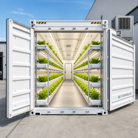 Conteneur d'agriculture verticale modulaire certifié CE, ferme hydroponique intelligente pour la culture de légumes à feuilles vertes, prix d'usine, exportation