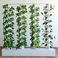 Serre hydroponique à quatre colonnes pour la culture de légumes et de fruits d'intérieur