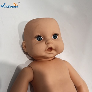 Modelo Anatómico <span class=keywords><strong>de</strong></span> <span class=keywords><strong>Esqueleto</strong></span> <span class=keywords><strong>de</strong></span> Bebé <span class=keywords><strong>de</strong></span> PVC Avanzado, Modelo Médico <span class=keywords><strong>Humano</strong></span> para Uso en Escuelas <span class=keywords><strong>de</strong></span> Medicina y Aulas - Product Image 1