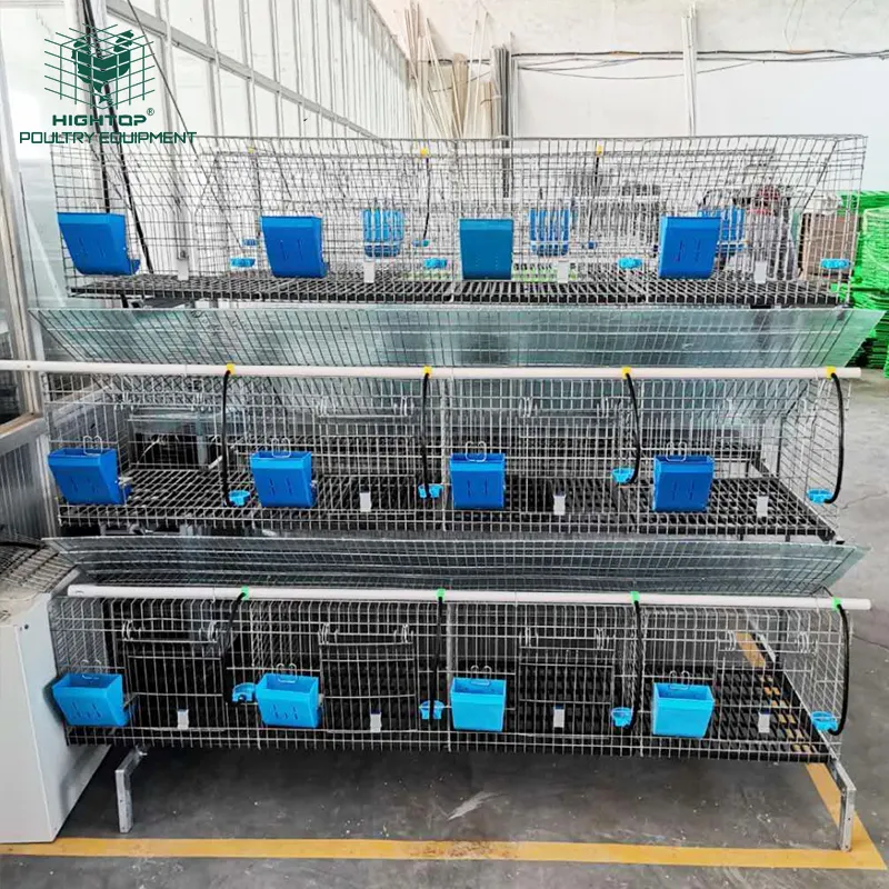 Sistema Automático de jaula comercial para granja de conejos en granja de Kenia