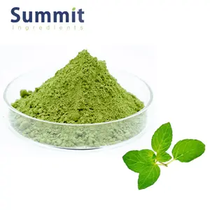 Hot Sale Mint Powder Mentha Piperita Extract Peppermint Leaf Powder Mint Leaf Powder