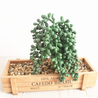 Ensemble de Faux Succulent séchés, 7 pièces, styles différents