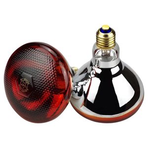 Bongbada 220-240V 50-60HZ volaille lampe chauffante infrarouge ampoule lampe chauffante ampoule pour volaille ferme œufs de poule