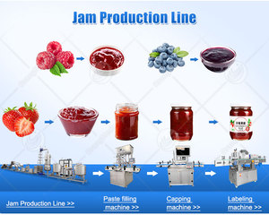 Ligne <span class=keywords><strong>de</strong></span> production industrielle et commerciale automatique pour la fabrication <span class=keywords><strong>de</strong></span> sauce, purée et pâte <span class=keywords><strong>de</strong></span> tomates italiennes - Product Image 3
