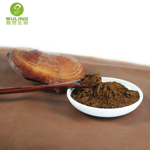 オーガニックハーブ<span class=keywords><strong>lingzhi</strong></span>ひびの入った胞子パウダー - Product Image 3