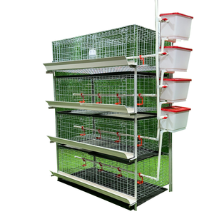 Hot Bán H Loại 3/4 Tầng 60/80 Gà Thịt Động Vật Pin Gà Lồng Kích Thước 1000 Gà Thịt Gà Thịt Lồng Cho Gia Cầm Trang Trại - Product Image 3