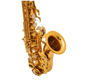 Good Quality Curved Soprano Saxophone Woodwind Instrument Cheap Price Manufacturer