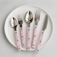 Ensemble de couverts de luxe en acier inoxydable avec manche en plastique, portables, polis miroir, cuillères, fourchettes, couteaux pour la maison