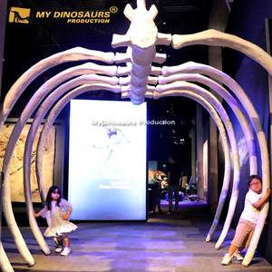 My Dino, exposición interior, <span class=keywords><strong>ballena</strong></span> Animal gigante, Ribcagel, <span class=keywords><strong>esqueleto</strong></span> fósil, réplicas para Plaza <span class=keywords><strong>de</strong></span> juegos - Product Image 2