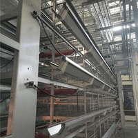 Système de contrôle automatique pour cage verticale à étages de type H – Le meilleur choix pour une production d'œufs à grande échelle et à fort rendement