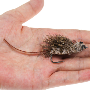 <span class=keywords><strong>Leurre</strong></span> de <span class=keywords><strong>pêche</strong></span> réaliste <span class=keywords><strong>en</strong></span> forme de souris, mouche, insecte, mouche de surface, souris, rat, mouche, motif <span class=keywords><strong>pour</strong></span> <span class=keywords><strong>truite</strong></span> <span class=keywords><strong>arc</strong></span>-<span class=keywords><strong>en</strong></span>-<span class=keywords><strong>ciel</strong></span>, brochet - Product Image 3