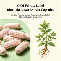 Capsules de poudre d'extrait de Rhodiola Rosea en marque blanche – Vente directe usine – Adaptogène pour le soutien mental – Suppléments à base de plantes – OEM