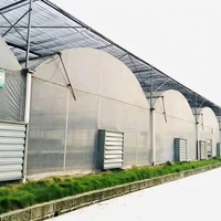 Serre polyvalente ZHUOTAI à plusieurs travées, recouverte de film, pour diverses cultures de légumes et grande surface utilisable, Chine