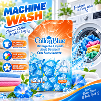 OEM 500ml, fabrication, vente directe, liquide de lavage à la mousse riche de haute qualité, détergent à lessive solide pour élimination des taches, liquide dans un sac