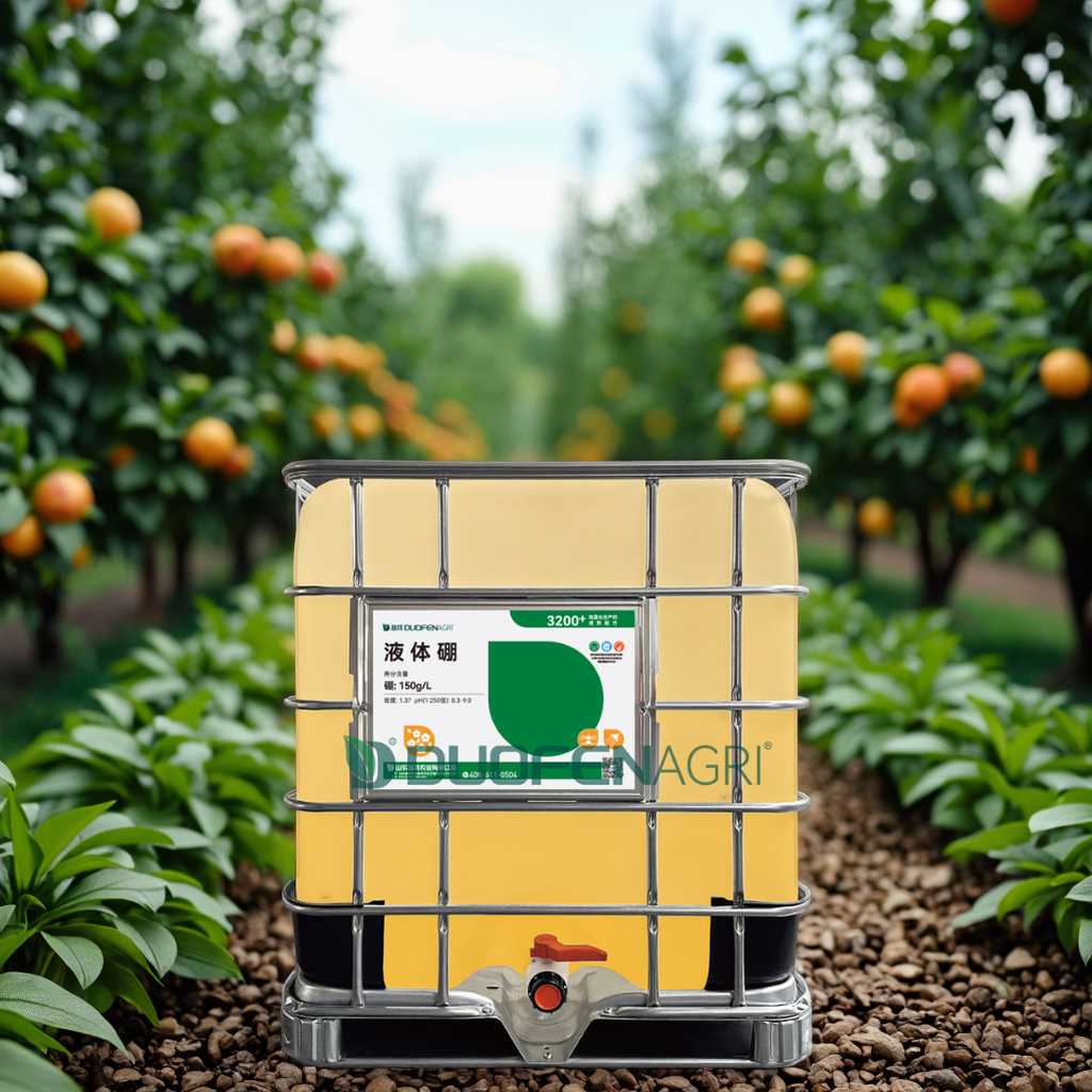 Wholesale Liquid Boron Fertilizer for Strawberry & Blueberry Bloom