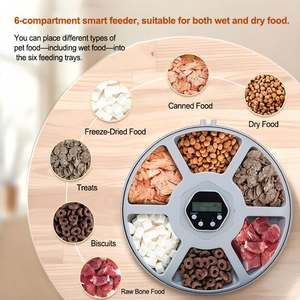 Distributeur Automatique d'Aliments pour Animaux de Compagnie Élégant et Fiable – Gamelle pour Chat - Product Image 4