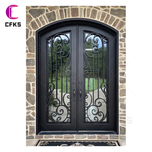 <span class=keywords><strong>2025</strong></span> tùy chỉnh hiện đại nhập rèn sắt cửa kính - Product Image 2