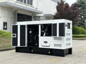 Générateur diesel de 60kva 80kva 100kva avec le type ouvert et le type silencieux