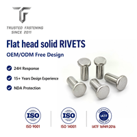 Rivets plats en carbone TianFang pour supports de machines industrielles, finition zinguée, tailles personnalisées disponibles