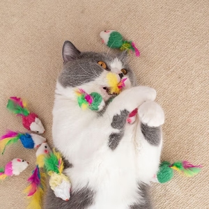 Ratón de peluche colorido con adorno de plumas-Accesorio para masticar gatitos con hierba gatera - Product Image 3