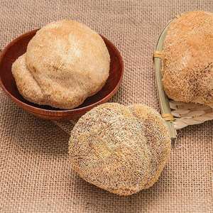 मस्तिष्क स्वास्थ्य और पाचन-कार्बनिक - Product Image 3