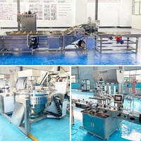 Ligne de production de fabrication de sauce pimentée rouge fraîche automatique mini-arabe, pâte de tomate au chili
