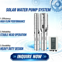 Pompe à eau submersible solaire AC/DC sans balais avec contrôleur MPPT intégré pour l'irrigation domestique et l'irrigation goutte à goutte des cultures