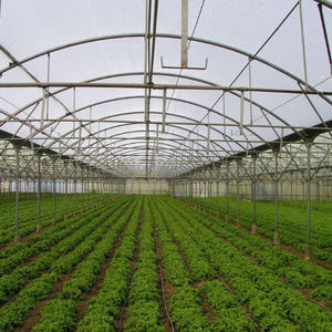 Serre en film plastique multi-voûtes commerciale - Système de ventilation intégré et conception résistante aux intempéries pour une agriculture toute l'année - Product Image 6