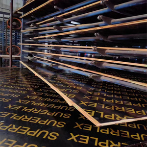 उच्च गुणवत्ता वाली 4ftx8 फीट फेनोलिक ब्लैक फिल्म का सामना प्लाईवुड 12 मिमी 18 मिमी निर्माण शटरिंग प्लाईवुड मेमिन बोर्ड पॉपलर ई 1 - Product Image 3