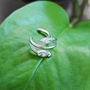 ASTM F136/G23 Cartílago Titanio Segmento <span class=keywords><strong>Nariz</strong></span> Anillo Aro Pendiente Piercing Cuerpo Joyería para Mujeres Hombres - Product Image 2