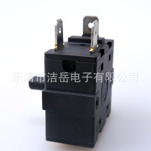 Interruptor Rotatorio Jieyue 2No 250V, Terminal de Tornillo, Plástico, IP31, Vida Útil Mecánica de 300000 Ciclos - Product Image 1