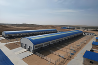 Estructura de Acero Ligero Prefabricada para Naves Agrícolas, Soldadura y Corte, Instalación Rápida para Almacenamiento Multiusos de Animales
