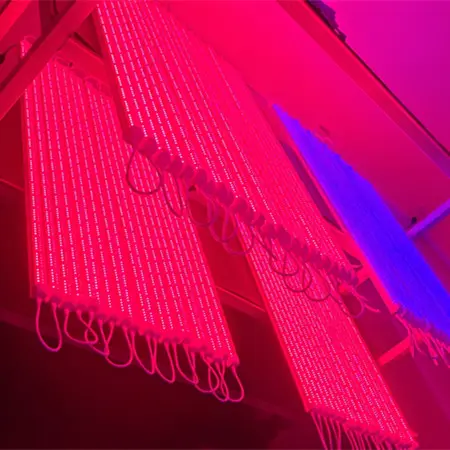 7Magic Samsung Epistar Led Plant Grow Lamp IR RED 630nm 730nm Emerson Effect Led Grow Bombilla