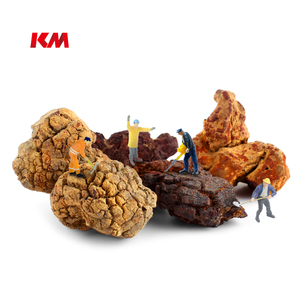 Kit <span class=keywords><strong>de</strong></span> excavación <span class=keywords><strong>de</strong></span> excrementos <span class=keywords><strong>de</strong></span> <span class=keywords><strong>dinosaurio</strong></span>, profesional personalizada etiqueta privada, Deluxe, venta al por mayor - Product Image 6