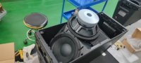 Sistema de Sonido de Altavoces Line Array Peak Product Profesional para DJ, Bodas, Iglesias HDL20 Activo Pasivo RC F 8 ohmios con Caja de Plástico