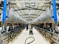 Estructura de acero prefabricada estilo granja moderna oveja cabra granja granero casa cobertizo de vacas lecheras y edificio de granja de ganado