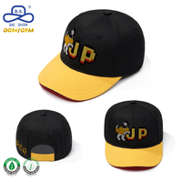 Huthersteller Maßgefertigte Pixel-Charakter Bedruckte Streetwear Farbblockierte Gebogene Krempe Baseballkappe für Unisex Tägliche Freizeitkleidung