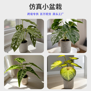 Planta artificial de Monstera Dream Castle en maceta de cemento para decoración del hogar, bonsái de escritorio, vegetación. - Product Image 5