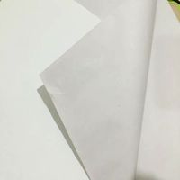 Papel Periódico Especializado de Fabricante Chino, 45 GSM, Anti-Rizo, Pulpa de Madera para Ropa, en Rollo o Hoja