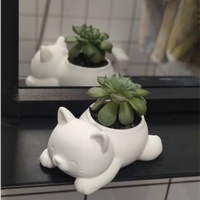 Pot de fleurs en forme de chaton mignon imprimé en 3D, jardinière pour plantes succulentes, ornement de cactus pour la maison et le bureau, porte-bougie créatif, décoration moderne