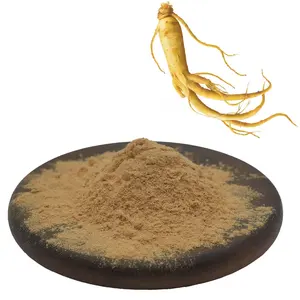 Hot Sale Factory Price Red Ginseng Powder Ginsenosides 80% Ginseng Leaf Extract