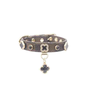 बहुमुखी मोती हार कुत्ते सहायक चनौजर टेडी फोटो इंटरनेट सेलिब्रिटी आंरकि - Product Image 5