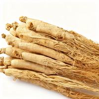 Racine de ginseng du Jilin pour les fabricants d'aliments santé, les distributeurs d'herbes et les pharmacies de médecine traditionnelle chinoise