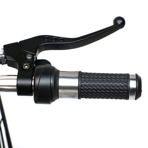 Vélo électrique Happy Bean chinois pas cher, deux places, 48V 12A, design classique, batterie E - Product Image 6