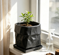 Pot de fleurs en céramique WabiSabi noir mat, fait main, irrégulier et incurvé, pour petites plantes vertes, décoration de table pour chambre et salon
