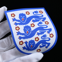 Écussons en silicone personnalisés avec logo du Championnat Européen de Football pour vêtements et vêtements de sport, thermocollants sur tissu, écologiques