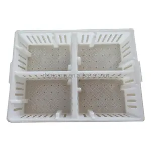 TUOYUN Best Selling Plastic Farms Large Chicken Crates Duck Transport Cage